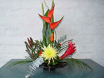 Floral Bouquets and Custom Floral Arrangements for Delivery Throughout Sonoma County